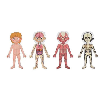 Tooky Toy Co Body Magnetic Chart 30x40x1cm