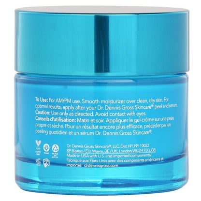 Dr Dennis Gross Hyaluronic Marine Oil Free Moisture Cushion 60ml/2oz