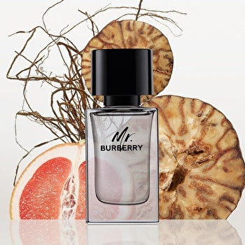 Burberry Mr. Burberry Man Eau De Toilette 50ml